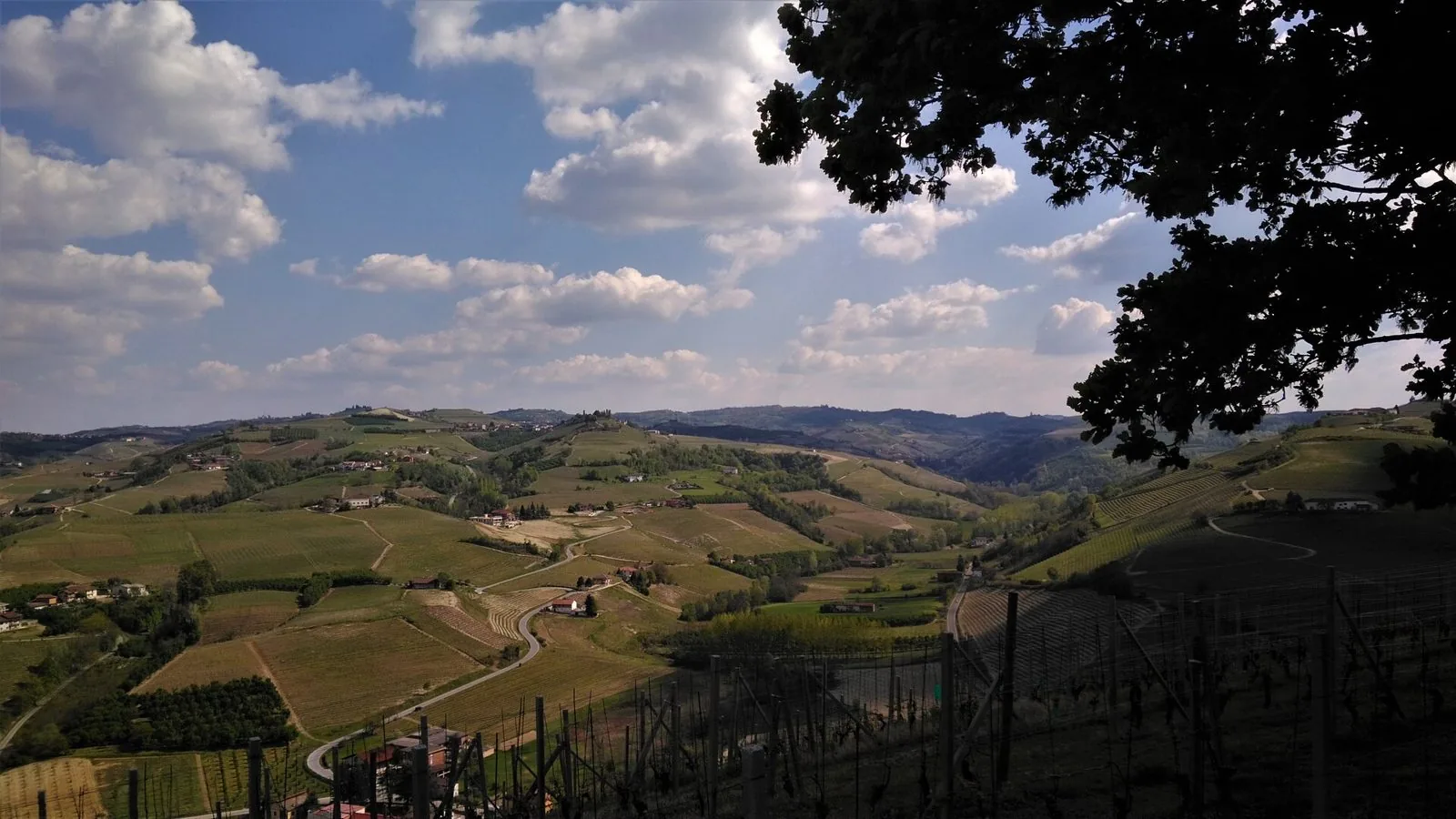 Colline verdi coltivate a vigneto intorno a Neive in primavera sotto un cielo con nuvole