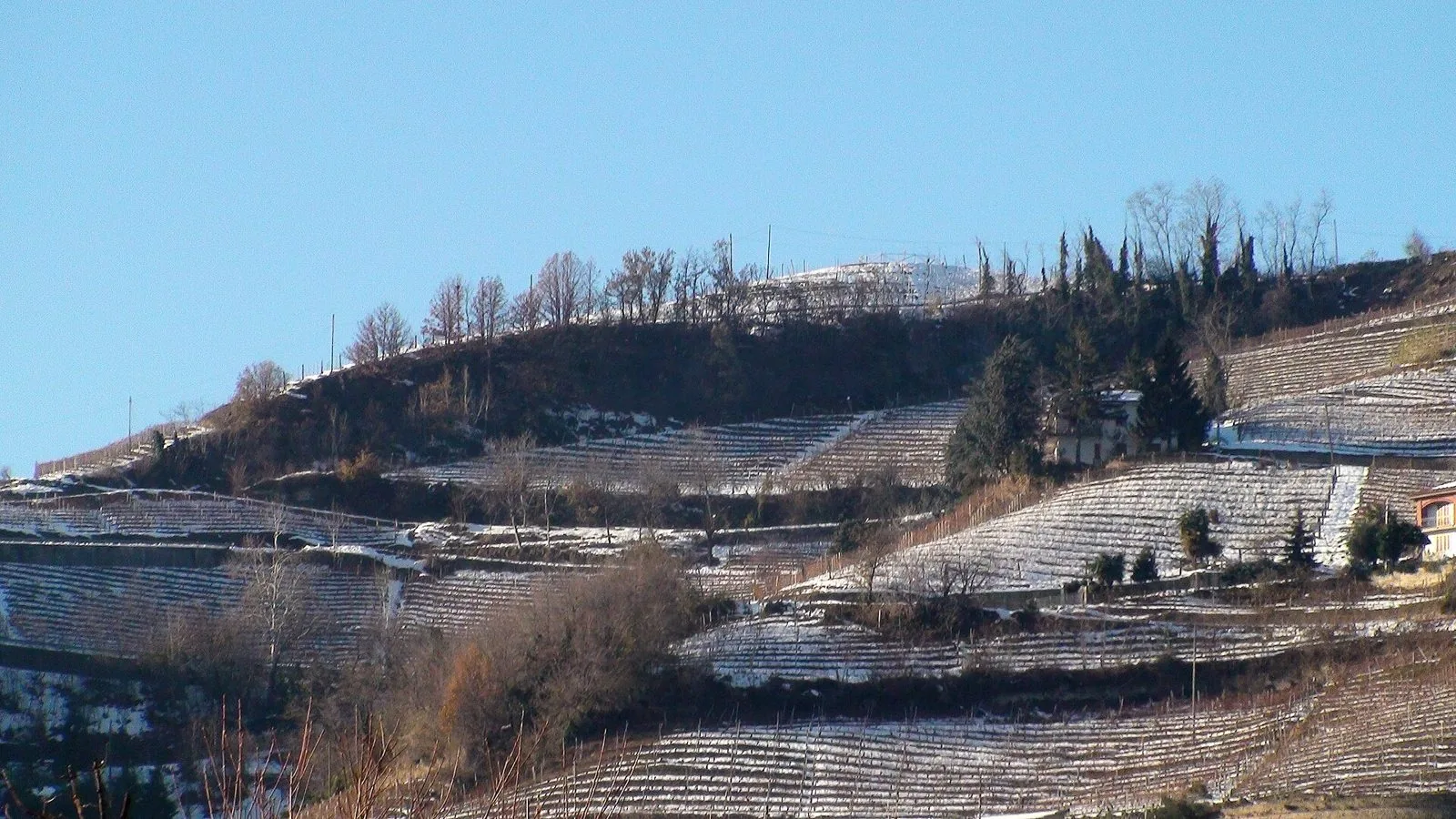 Vigneti imbiancati da una leggera nevicata sul colle Moncucco a Santo Stefano Belbo